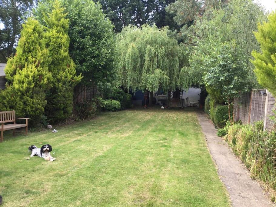 The Studio, Ascot Winkfield Exterior foto